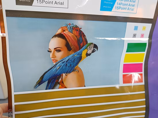 Flexo Printing Machine 2 Color