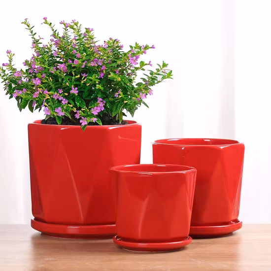 High Speed Ceramic Anilox Roller Four Color PE/PP/OPP/Non